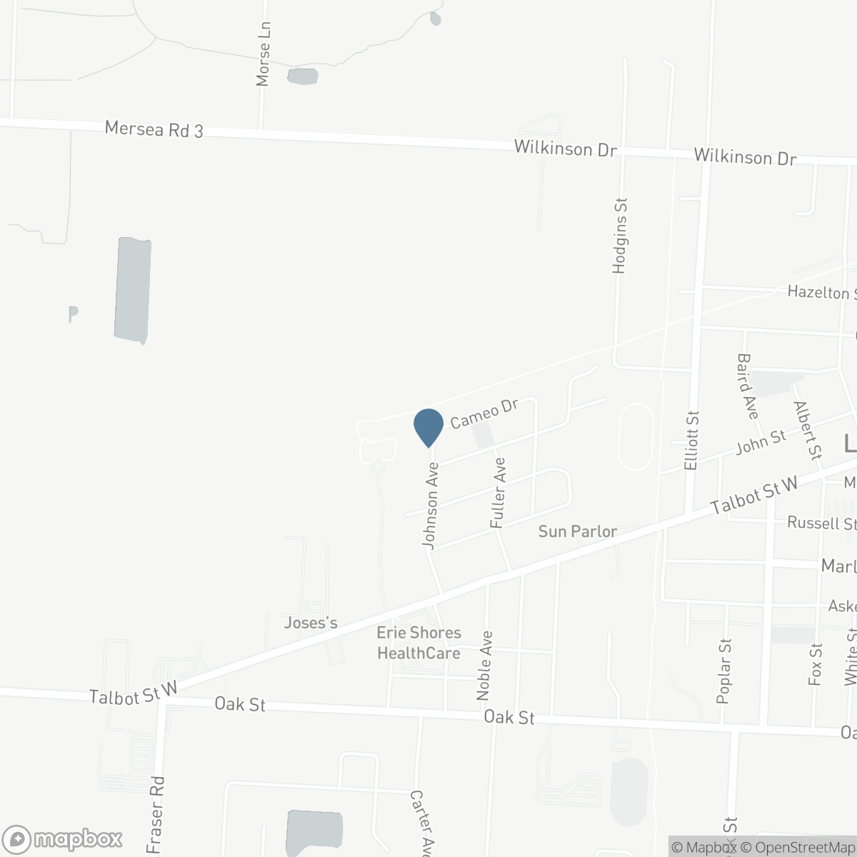 39 JOHNSON AVENUE, Leamington, Ontario N8H 3T8